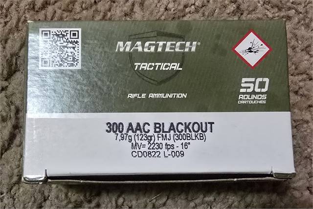 Magtech 300 Blackout 123gr FMJ ⚠️350rds for $200⚠️