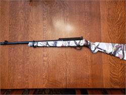 RUGER 10/22 Limited Edition