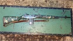 Springfield M1A 308