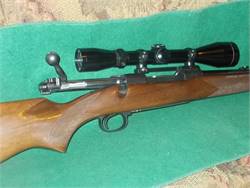 Winchester 70, pre-64, featherweight .243 with Leupold 3-9 VX II scope